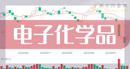 2024年電子化學(xué)品龍頭股盤點(diǎn) 產(chǎn)業(yè)東風(fēng)與市場機(jī)遇并行（2024年3月13日視角）